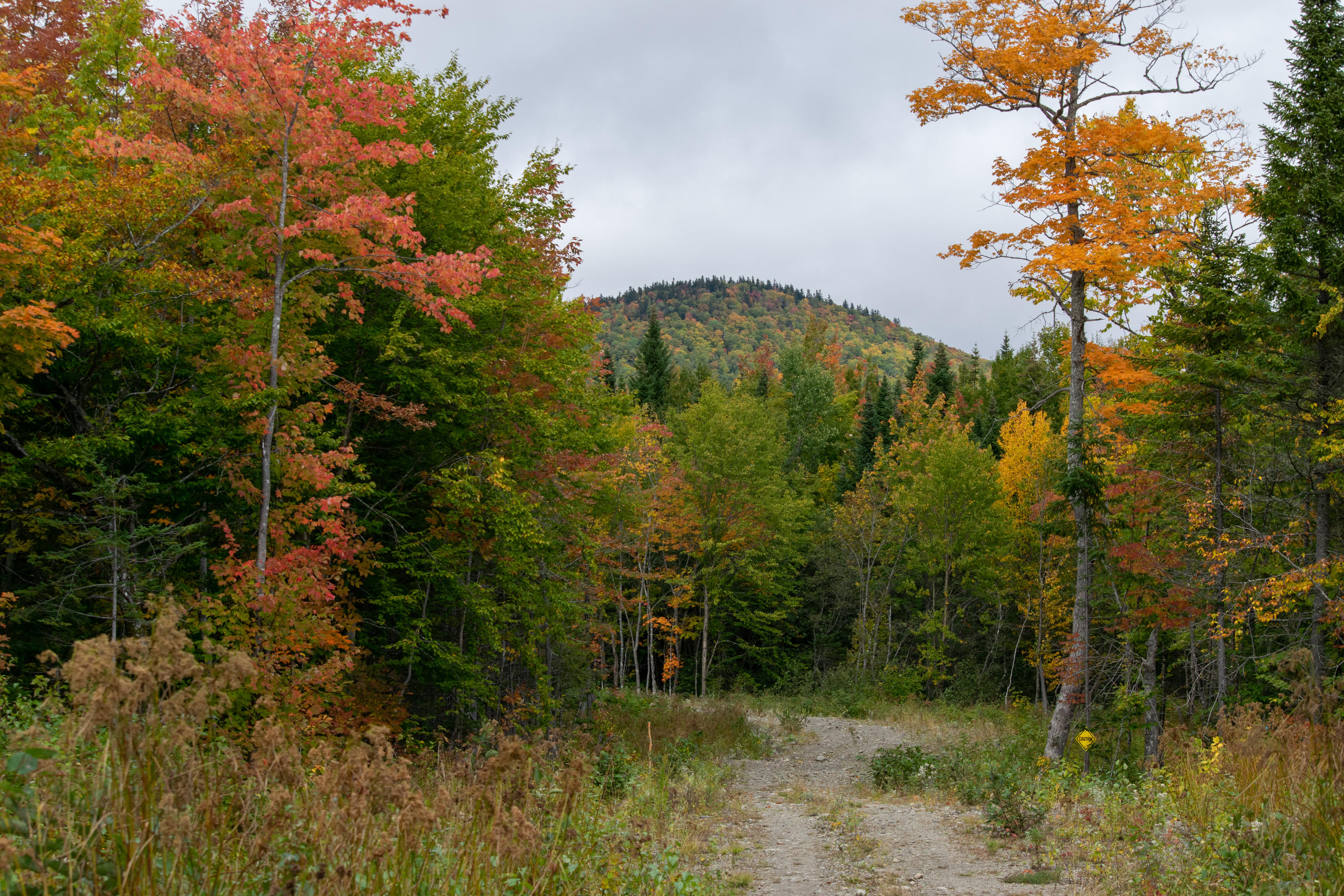 Lot 69 Cyr Rd Mount Mount Chase, ME 04765 - Photo 1 of 14 DSC_1479