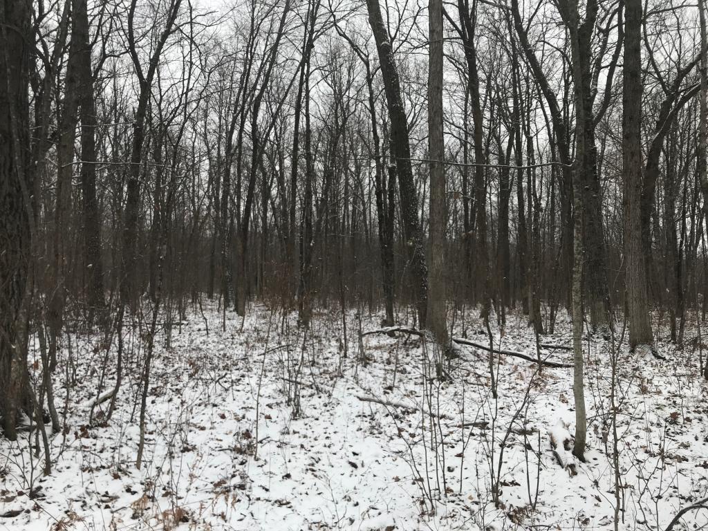 Xxx 27th Street Rice Lake, WI 54868 - Photo 1 of 1 Gallery Image 1