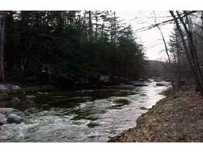1781 Fowler River Road Alexandria, NH 03222 - Photo 3 of 3 Gallery Image 3