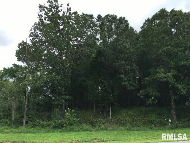 $17,000 | Lot 287 Parrish Ridge Lane, Goreville, IL 62939