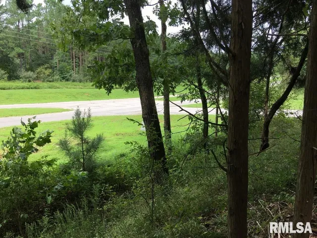 $17,000 | Lot 287 Parrish Ridge Lane, Goreville, IL 62939