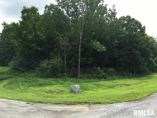 $17,000 | Lot 287 Parrish Ridge Lane, Goreville, IL 62939
