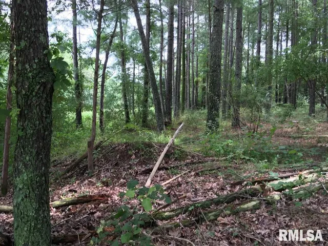 $17,000 | Lot 287 Parrish Ridge Lane, Goreville, IL 62939