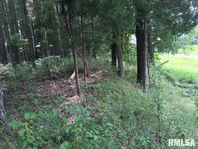 $17,000 | Lot 287 Parrish Ridge Lane, Goreville, IL 62939