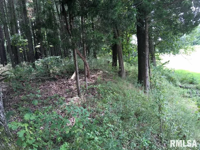 $17,000 | Lot 287 Parrish Ridge Lane, Goreville, IL 62939