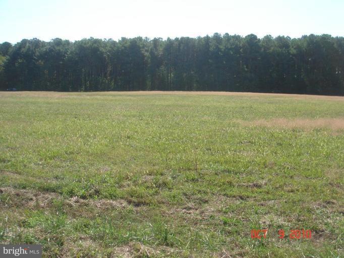 5 Elliott Island Road Vienna, MD 21869 - Photo 1 of 1 a view of a field with an ocean view