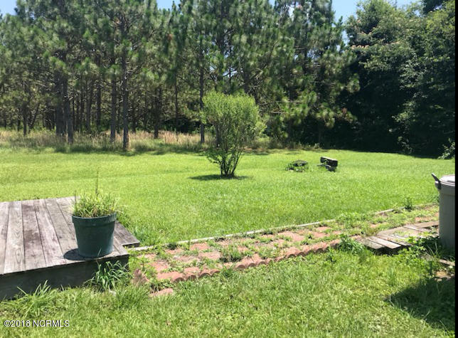 38 Hazel Wood Road Willard, NC 28478 - Photo 12 of 21 back yard