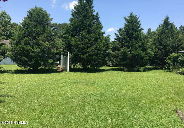 38 Hazel Wood Road Willard, NC 28478 - Photo 16 of 21 privacy landscape