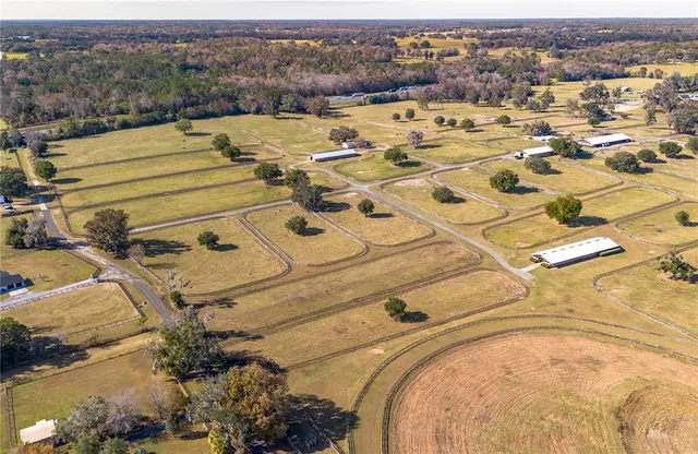 a view of a lake with a yard and a large tree