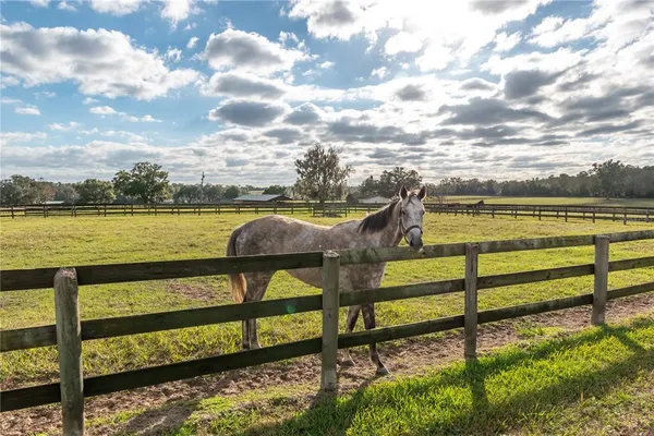 $4,900,000 | 5100 West Highway 329, Reddick, FL 32686