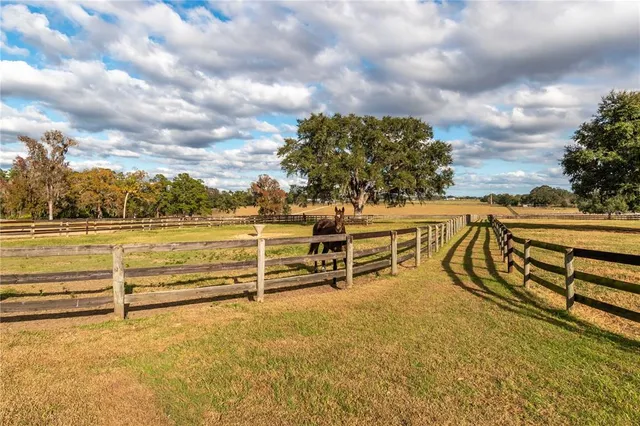 $4,900,000 | 5100 West Highway 329, Reddick, FL 32686