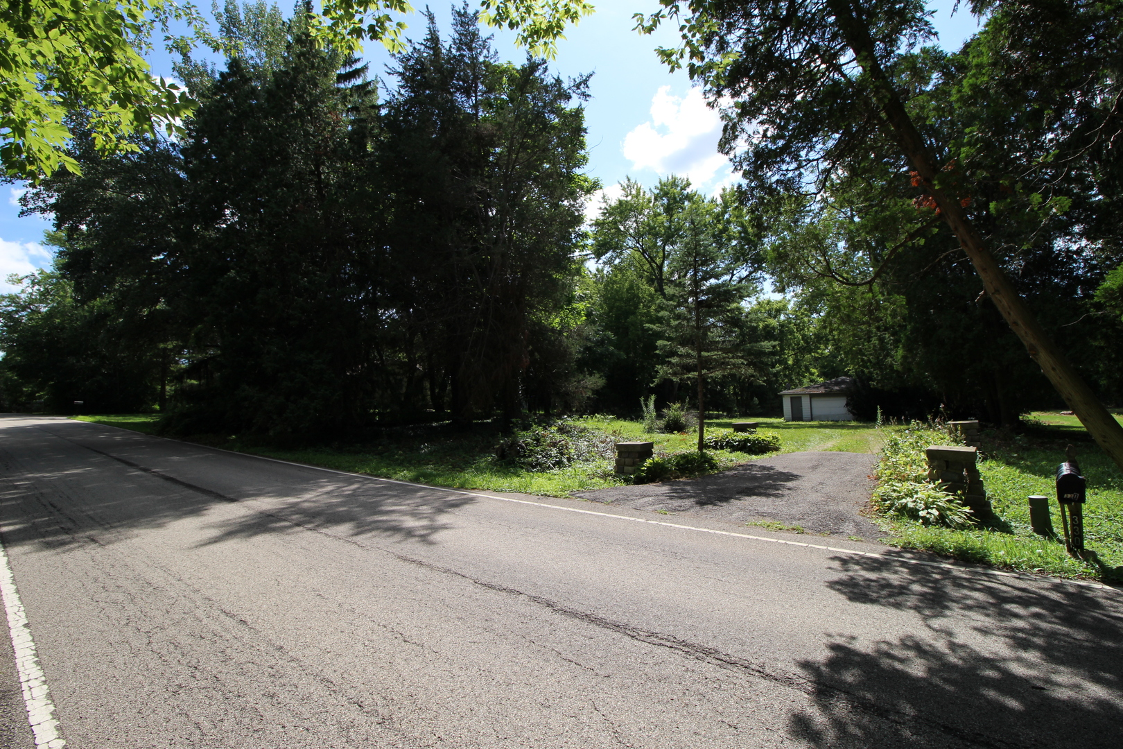 a view of a park with plants and trees