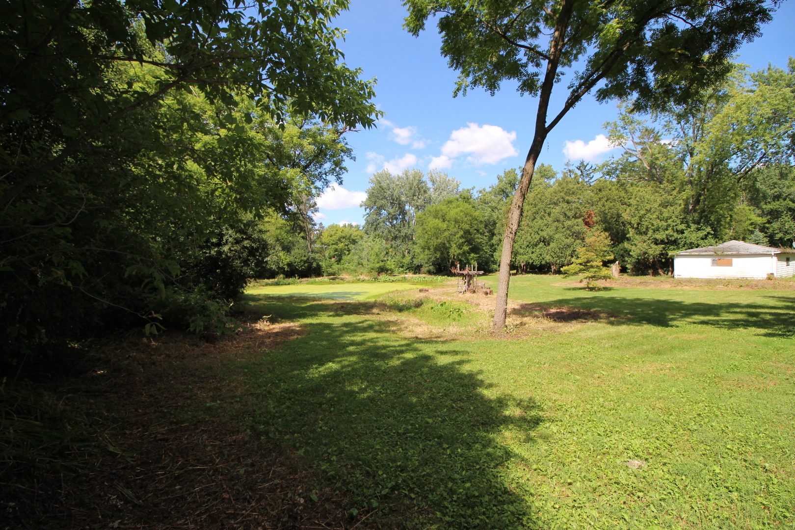 330 Poteet Avenue Palatine, IL 60067 - Photo 4 of 10 a view of a park with large trees