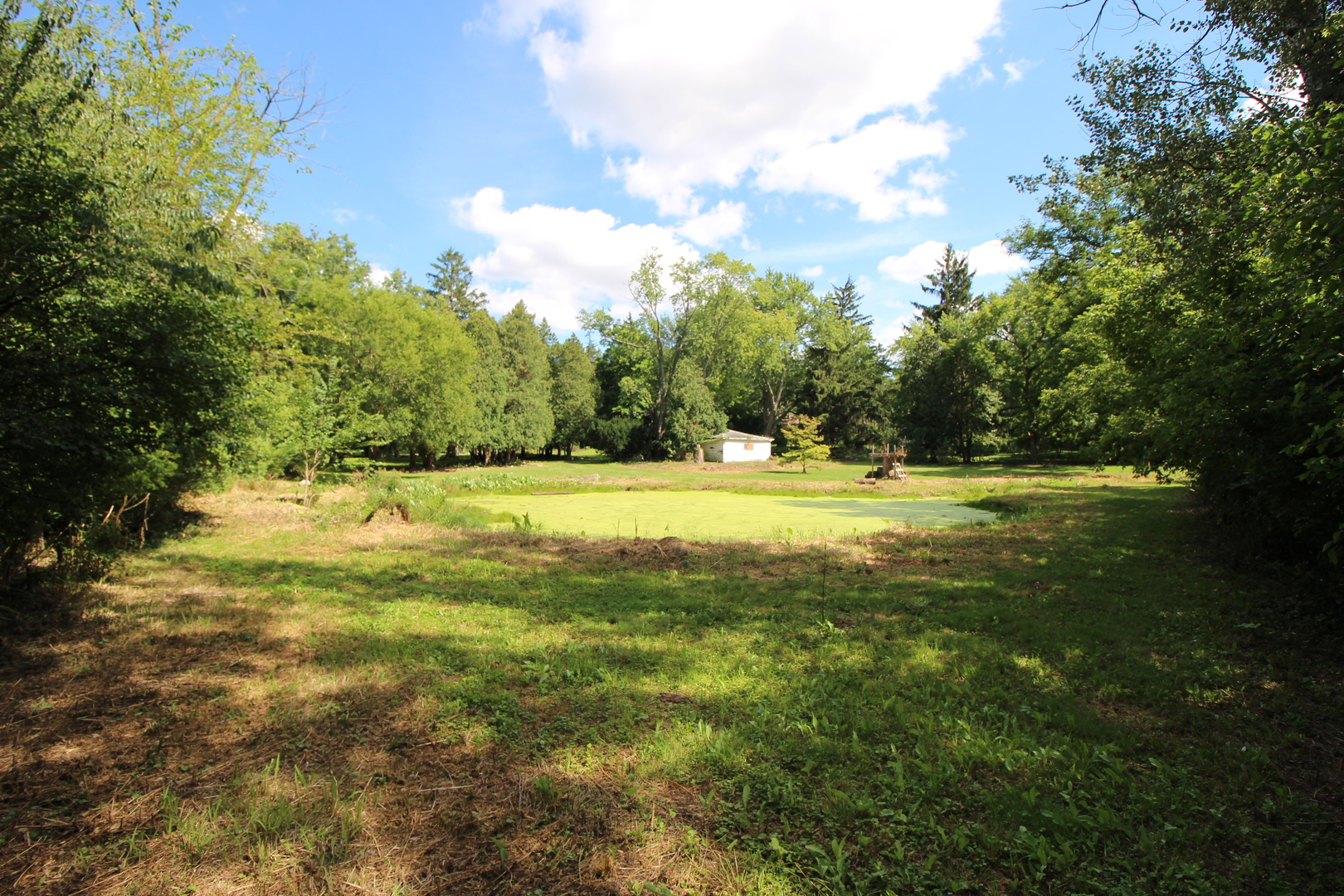 330 Poteet Avenue Palatine, IL 60067 - Photo 5 of 10 a view of outdoor space with yard and green space