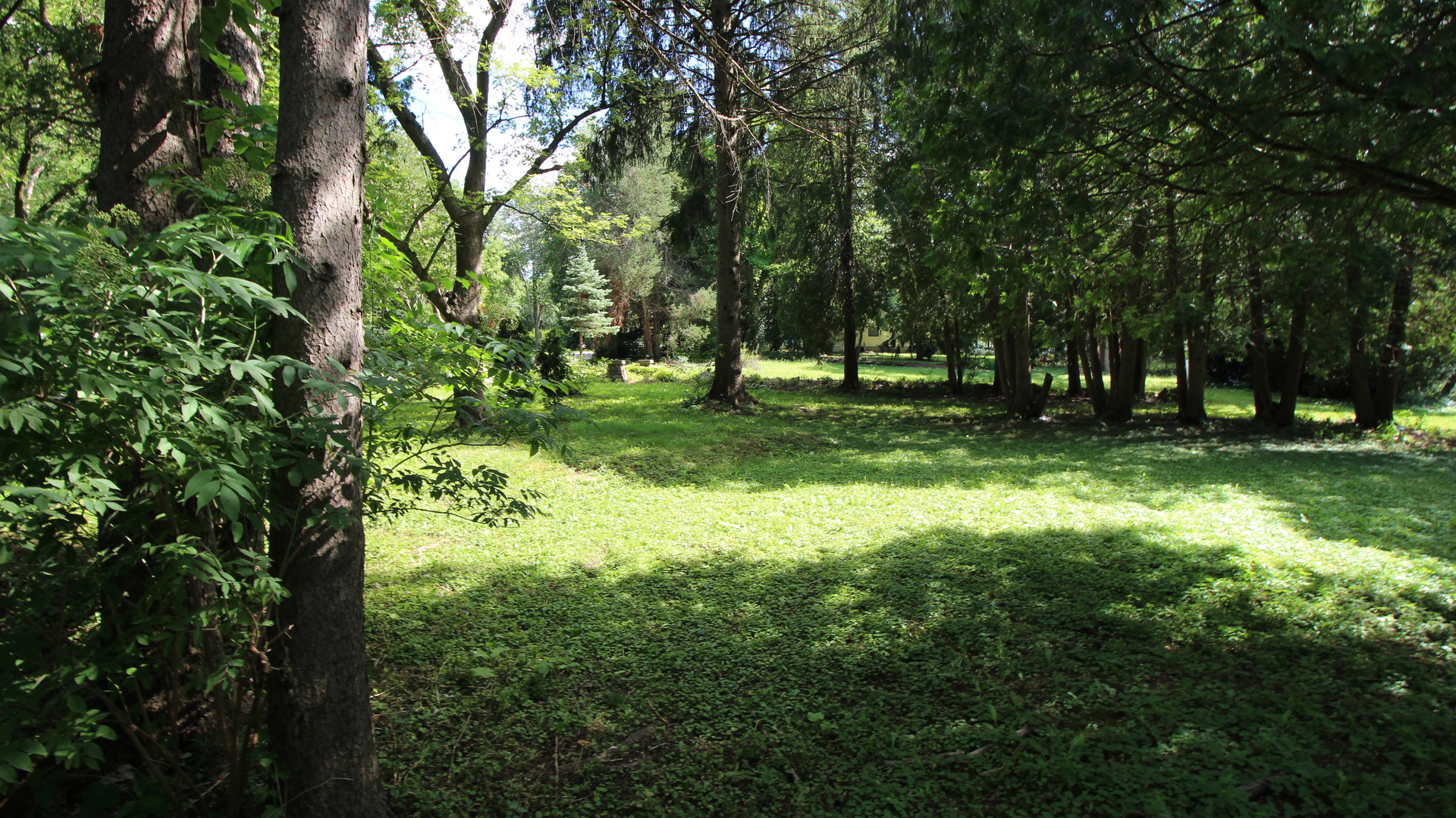 330 Poteet Avenue Palatine, IL 60067 - Photo 7 of 10 a view of a park with large trees