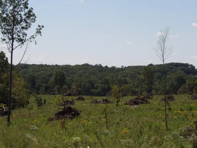 $850,000 | 100 Summer City Road, Evensville, TN 37332