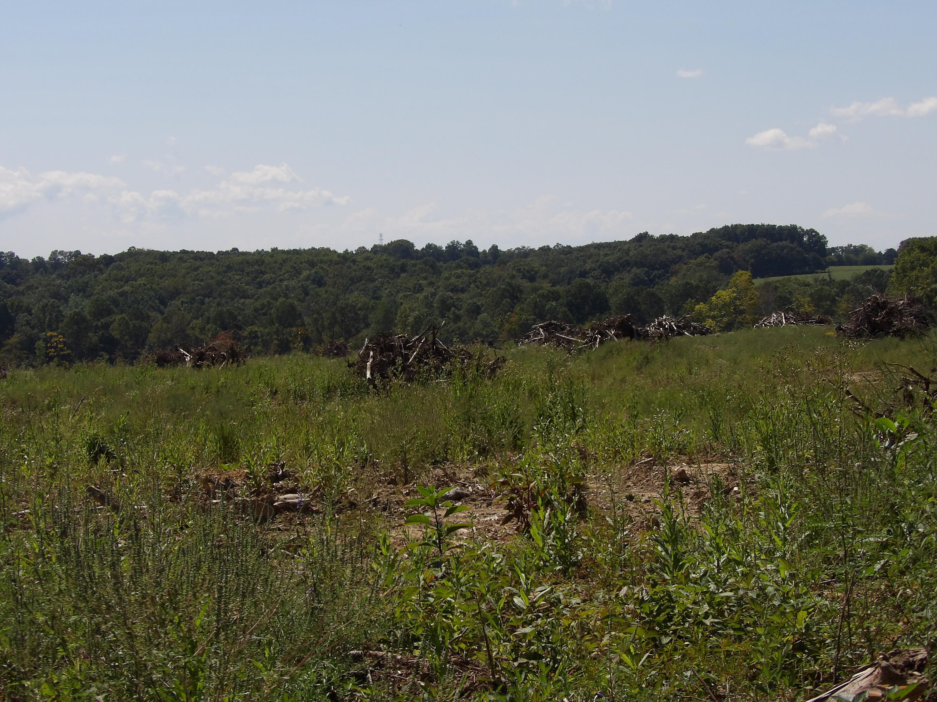 100 Summer City Road Evensville, TN 37332 - Photo 12 of 28 100_1939