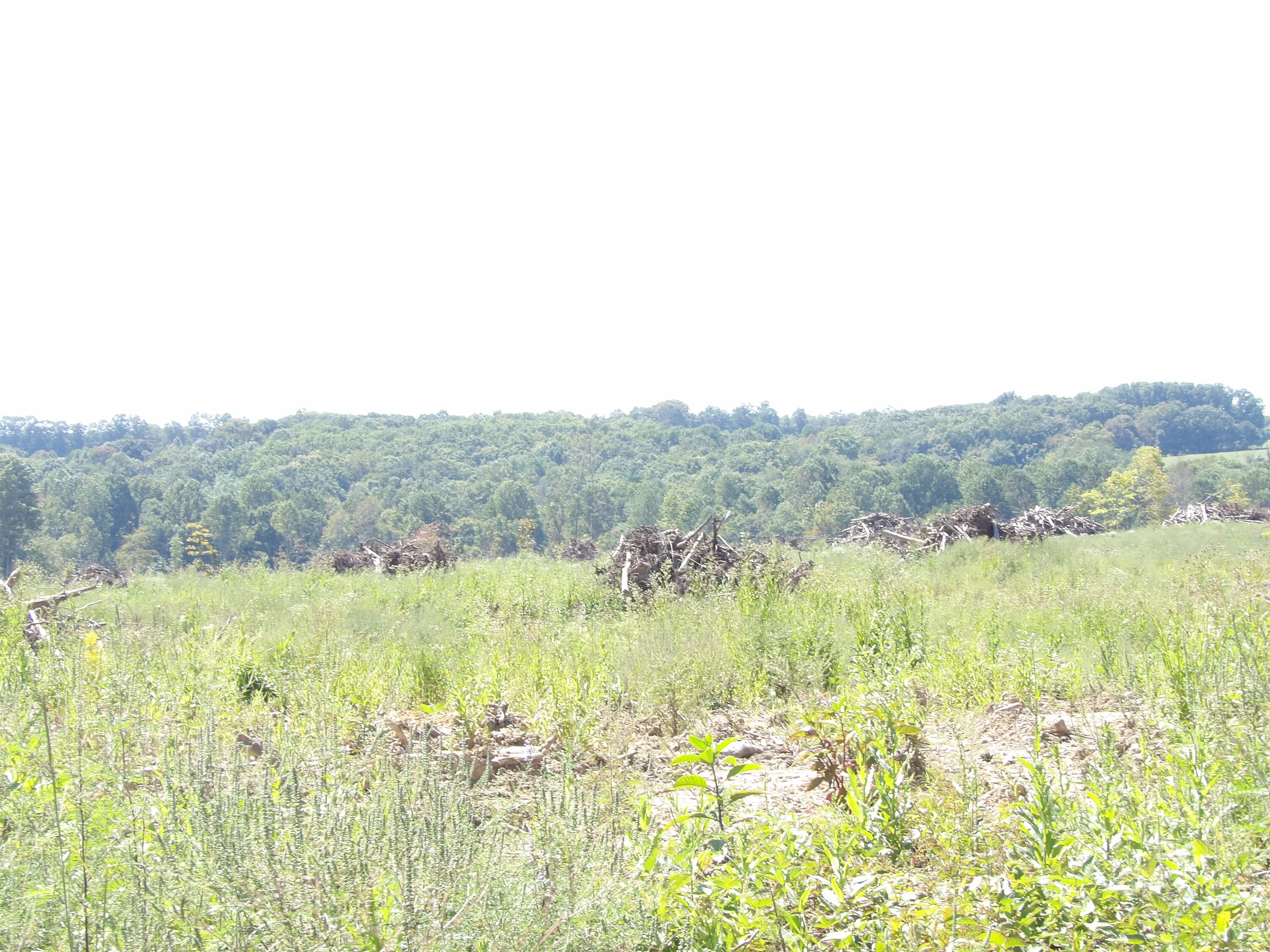 100 Summer City Road Evensville, TN 37332 - Photo 13 of 28 100_1940