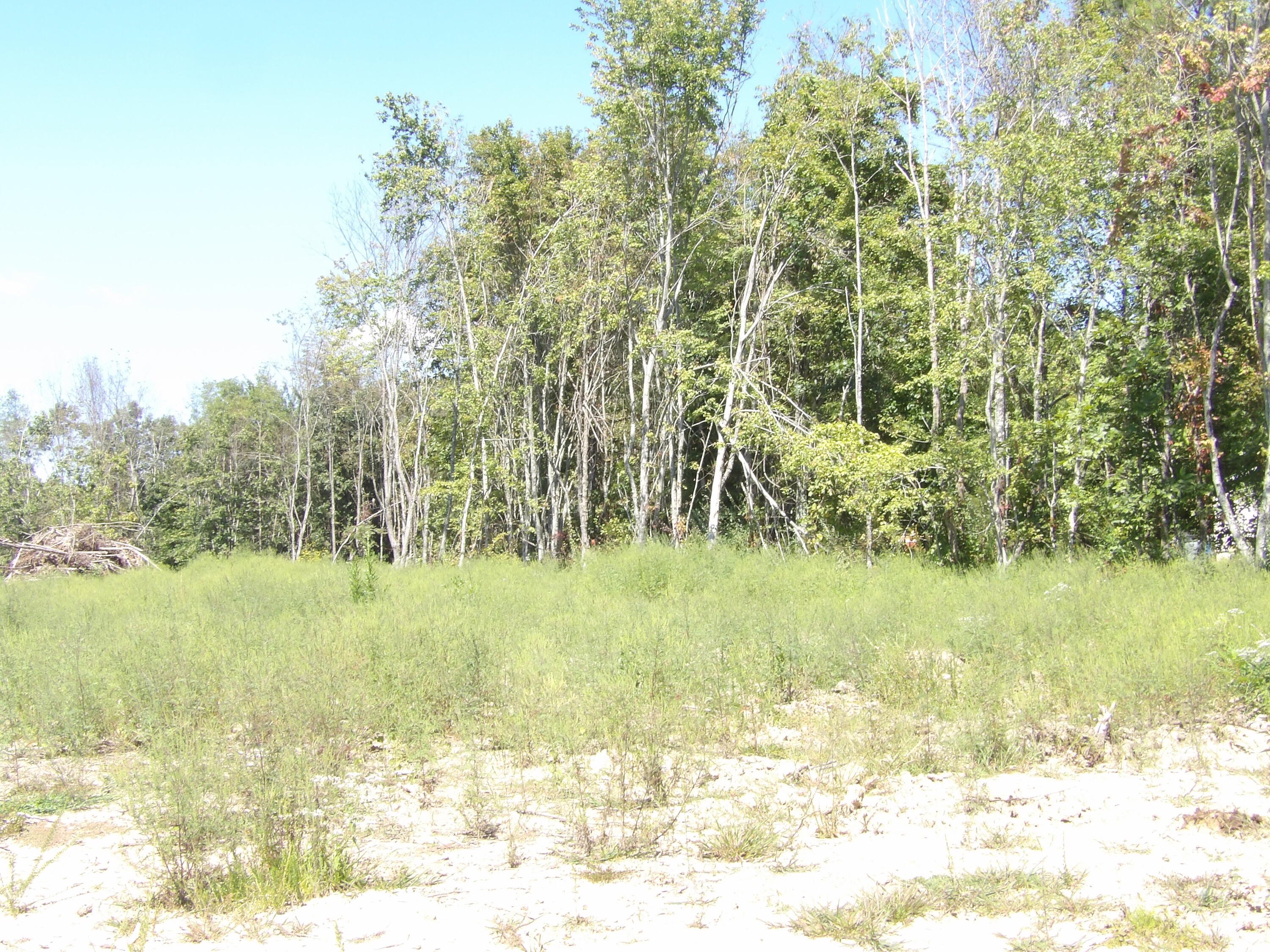 100 Summer City Road Evensville, TN 37332 - Photo 14 of 28 100_1941