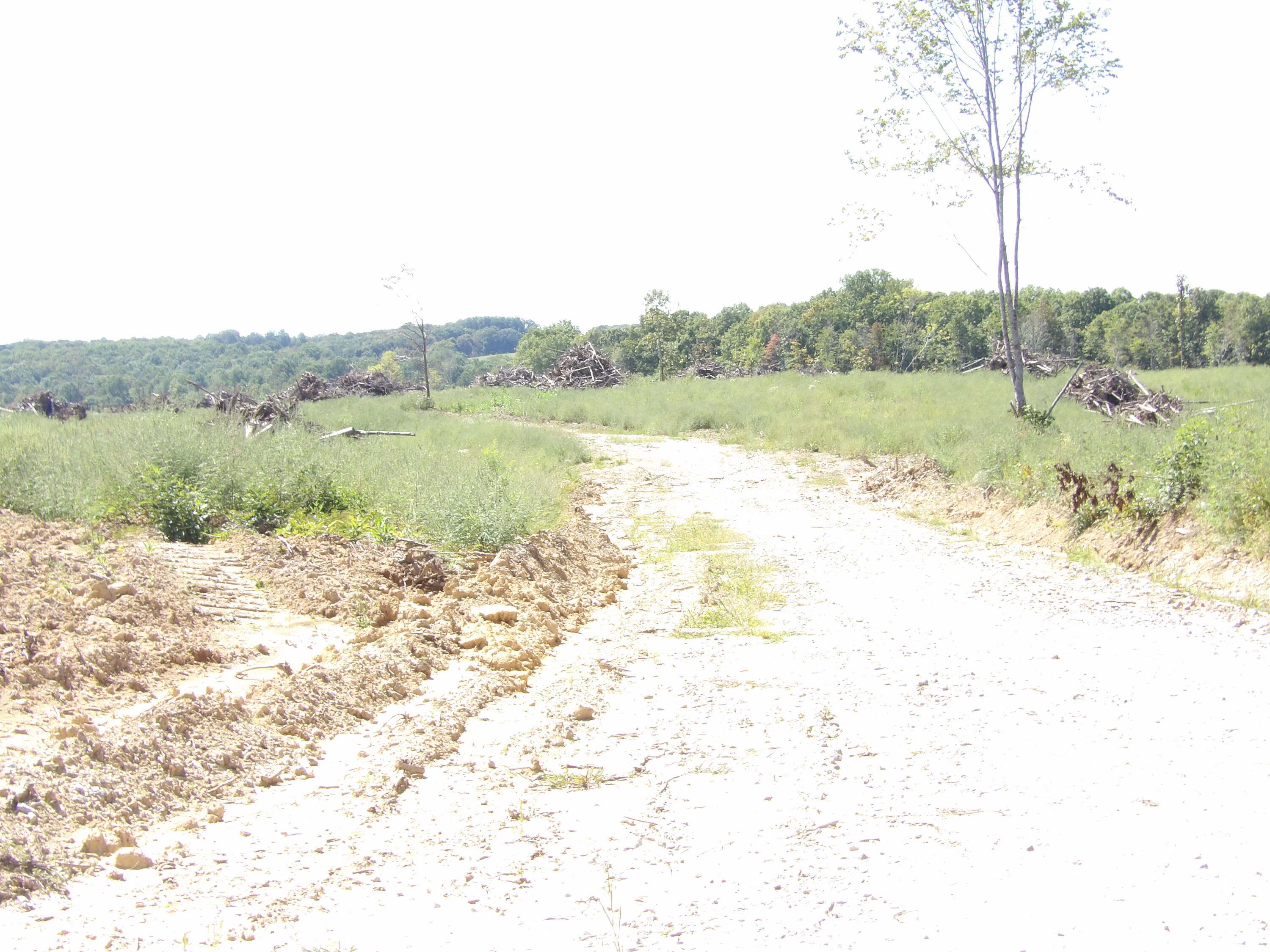 100 Summer City Road Evensville, TN 37332 - Photo 15 of 28 100_1942