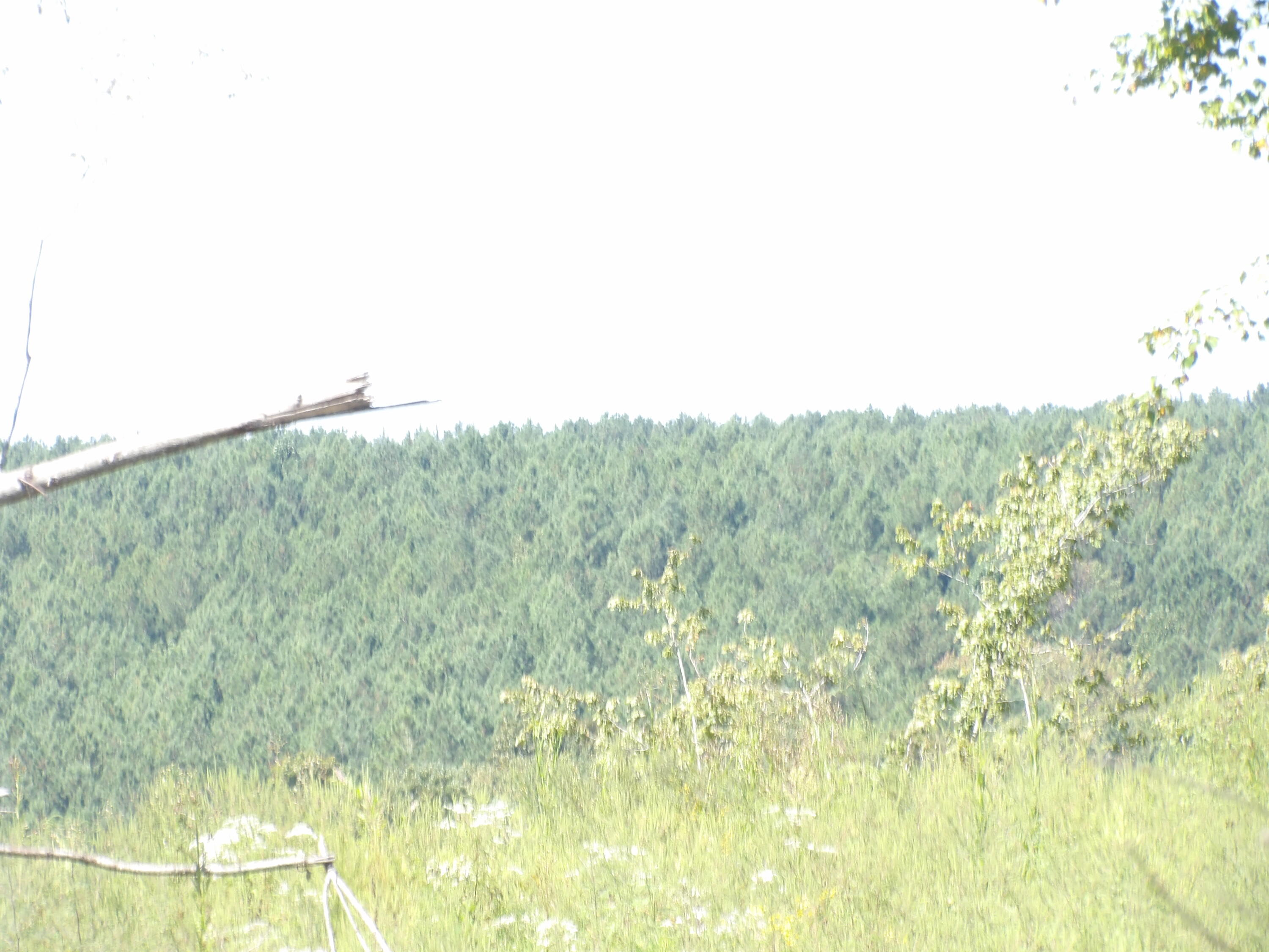 100 Summer City Road Evensville, TN 37332 - Photo 16 of 28 100_1943