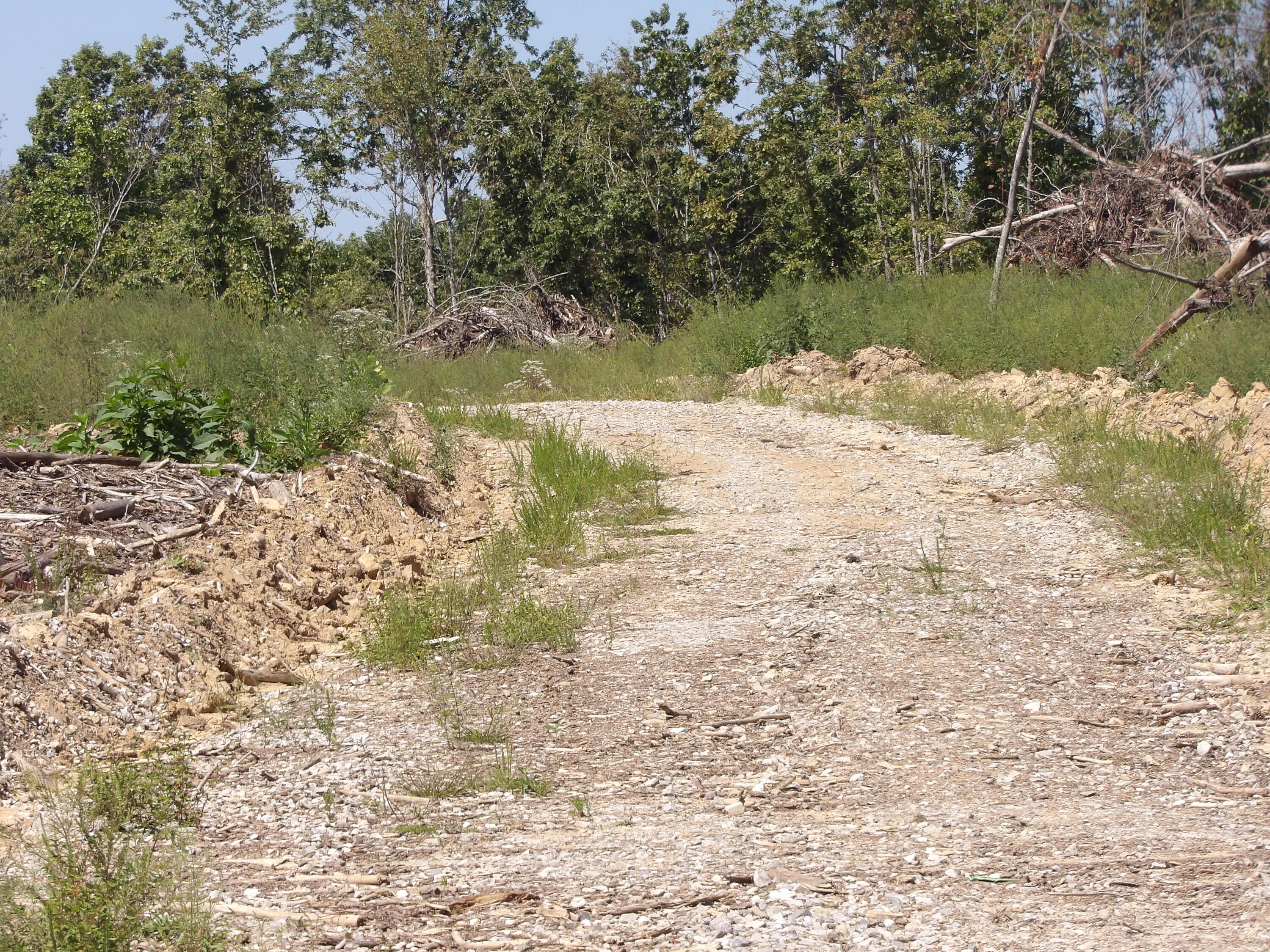 100 Summer City Road Evensville, TN 37332 - Photo 17 of 28 100_1938
