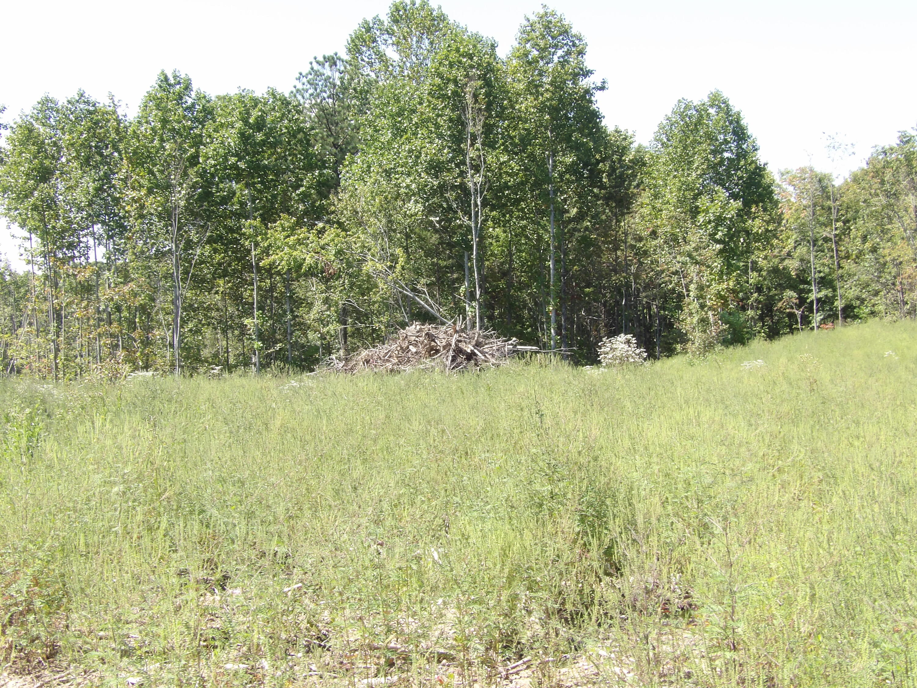 100 Summer City Road Evensville, TN 37332 - Photo 18 of 28 100_1944