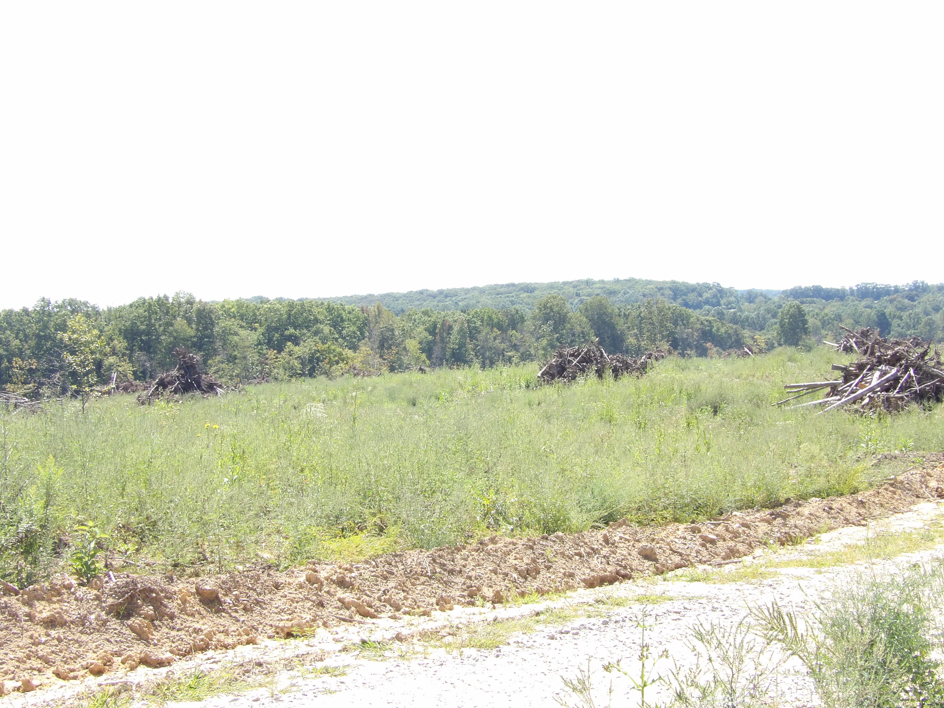 100 Summer City Road Evensville, TN 37332 - Photo 19 of 28 100_1945