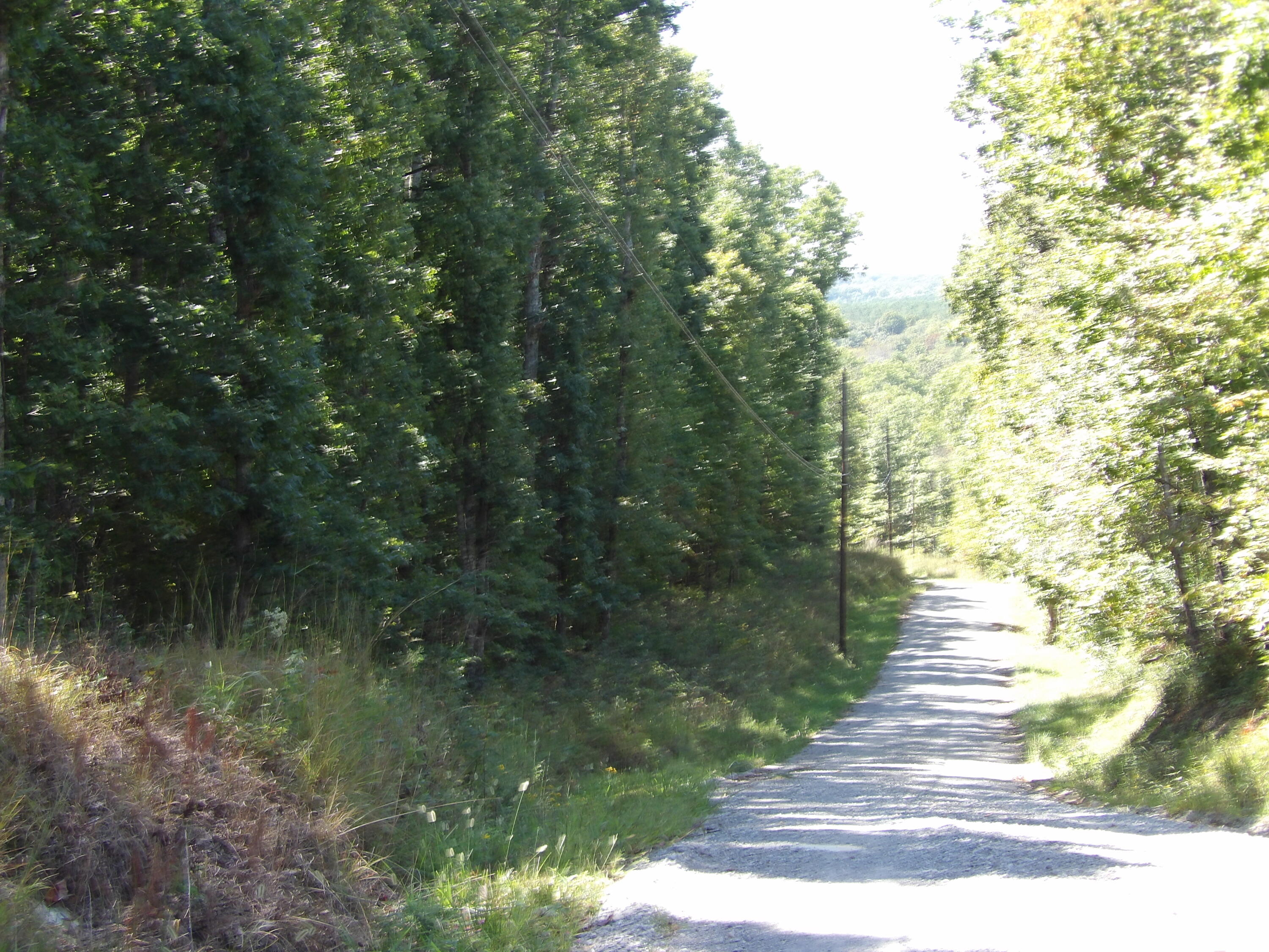 100 Summer City Road Evensville, TN 37332 - Photo 20 of 28 100_1947