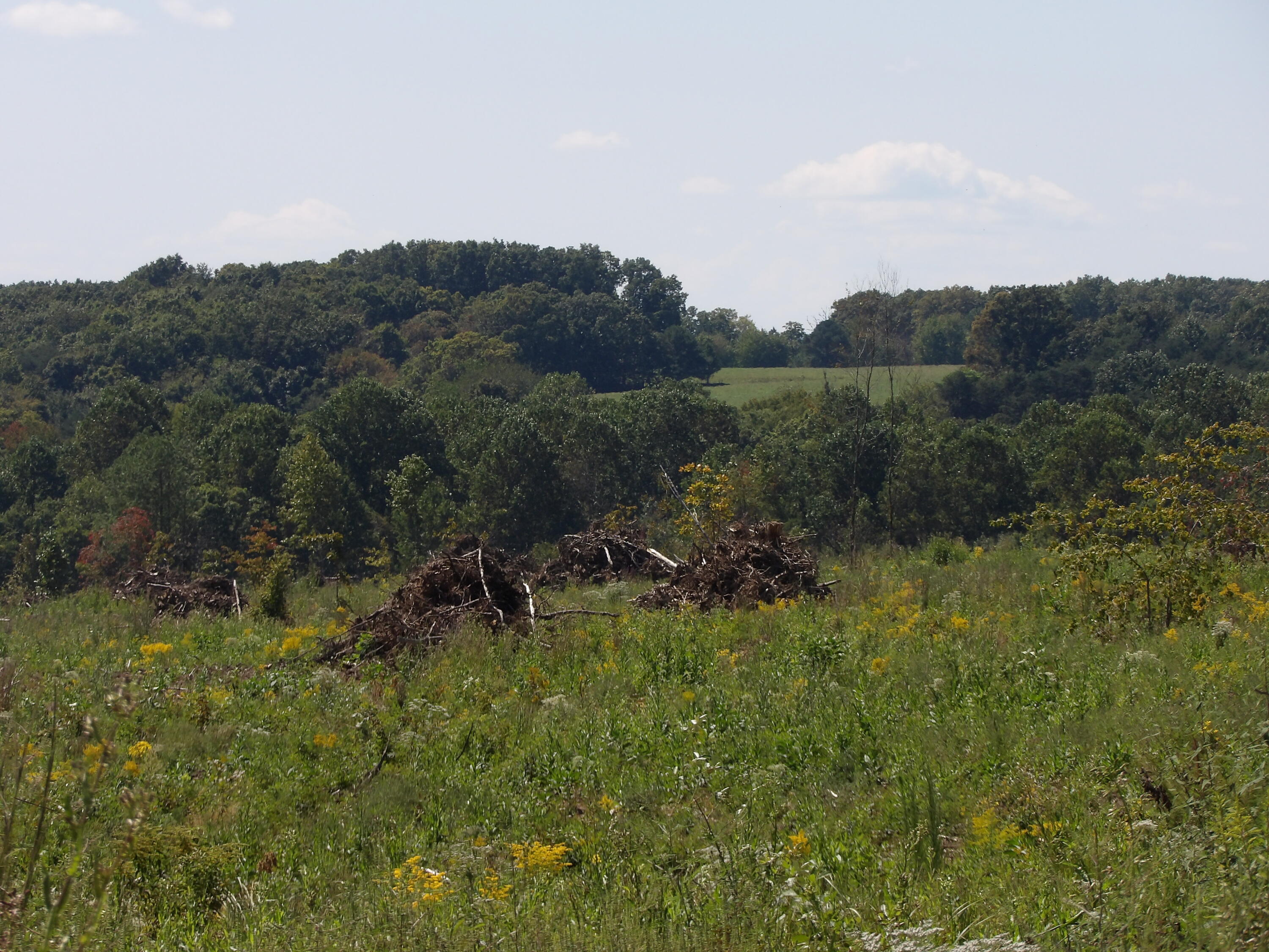 100 Summer City Road Evensville, TN 37332 - Photo 2 of 28 100_1937