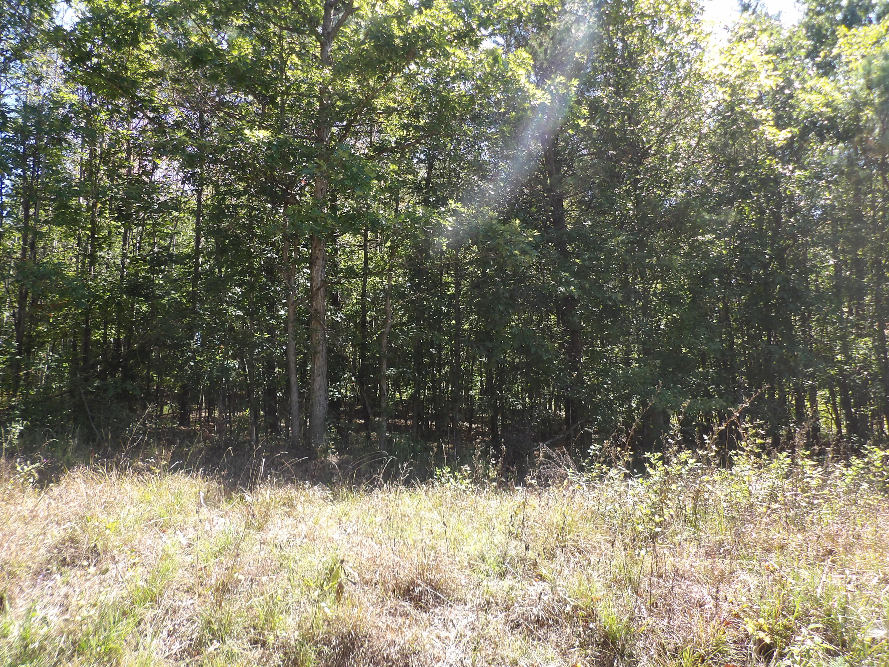 100 Summer City Road Evensville, TN 37332 - Photo 26 of 28 100_1953