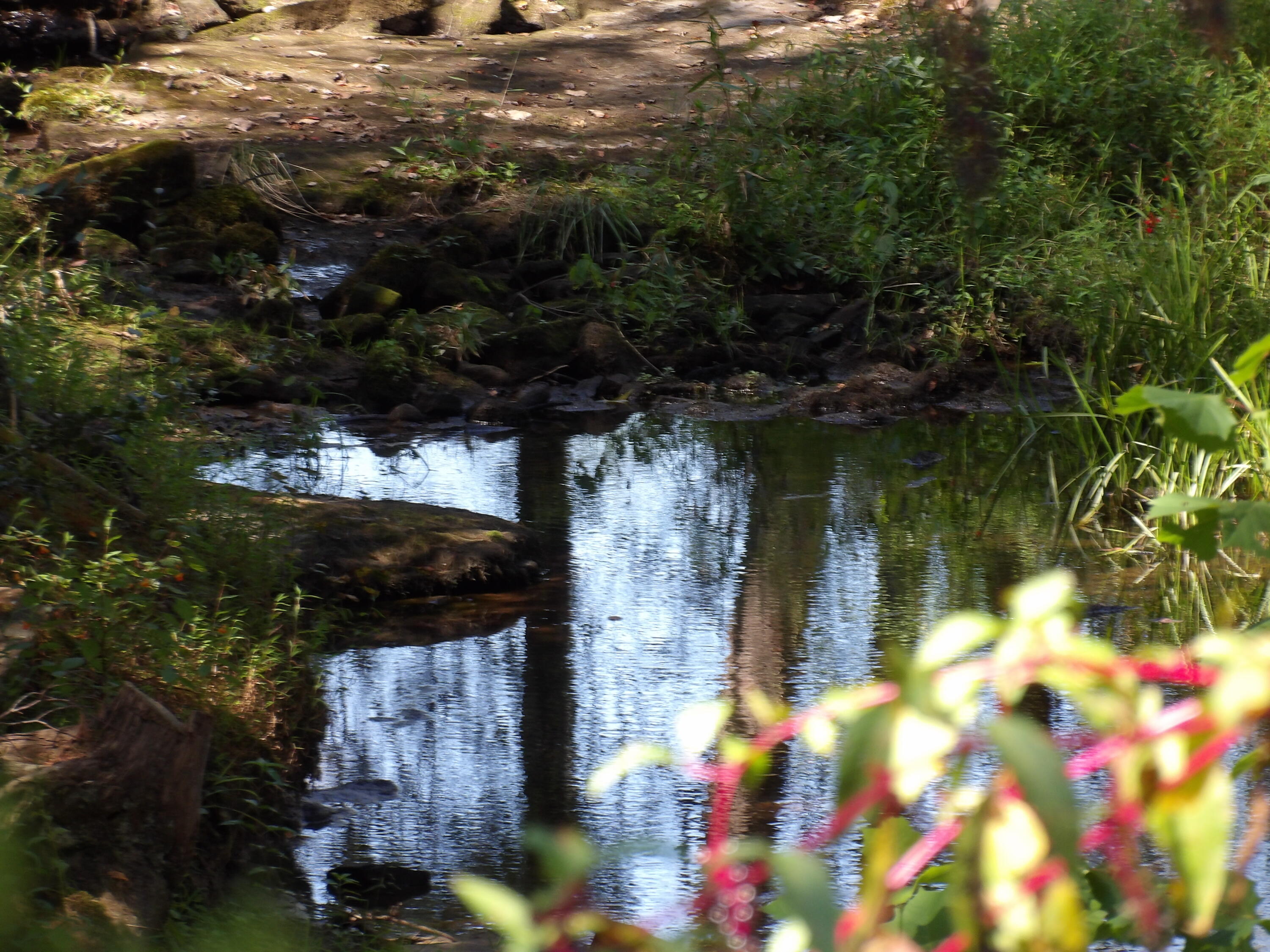 100 Summer City Road Evensville, TN 37332 - Photo 4 of 28 100_1954