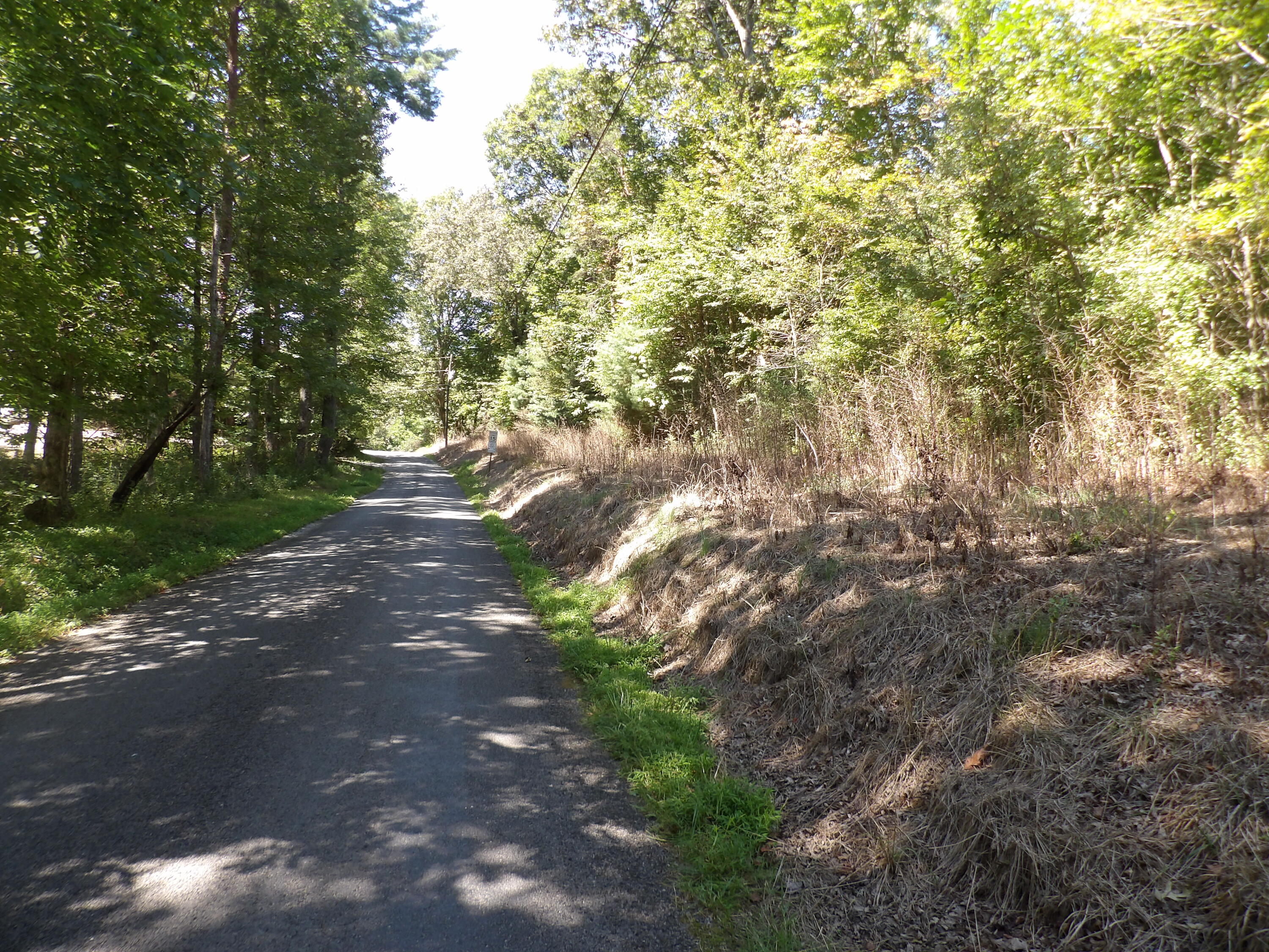 100 Summer City Road Evensville, TN 37332 - Photo 5 of 28 100_1928