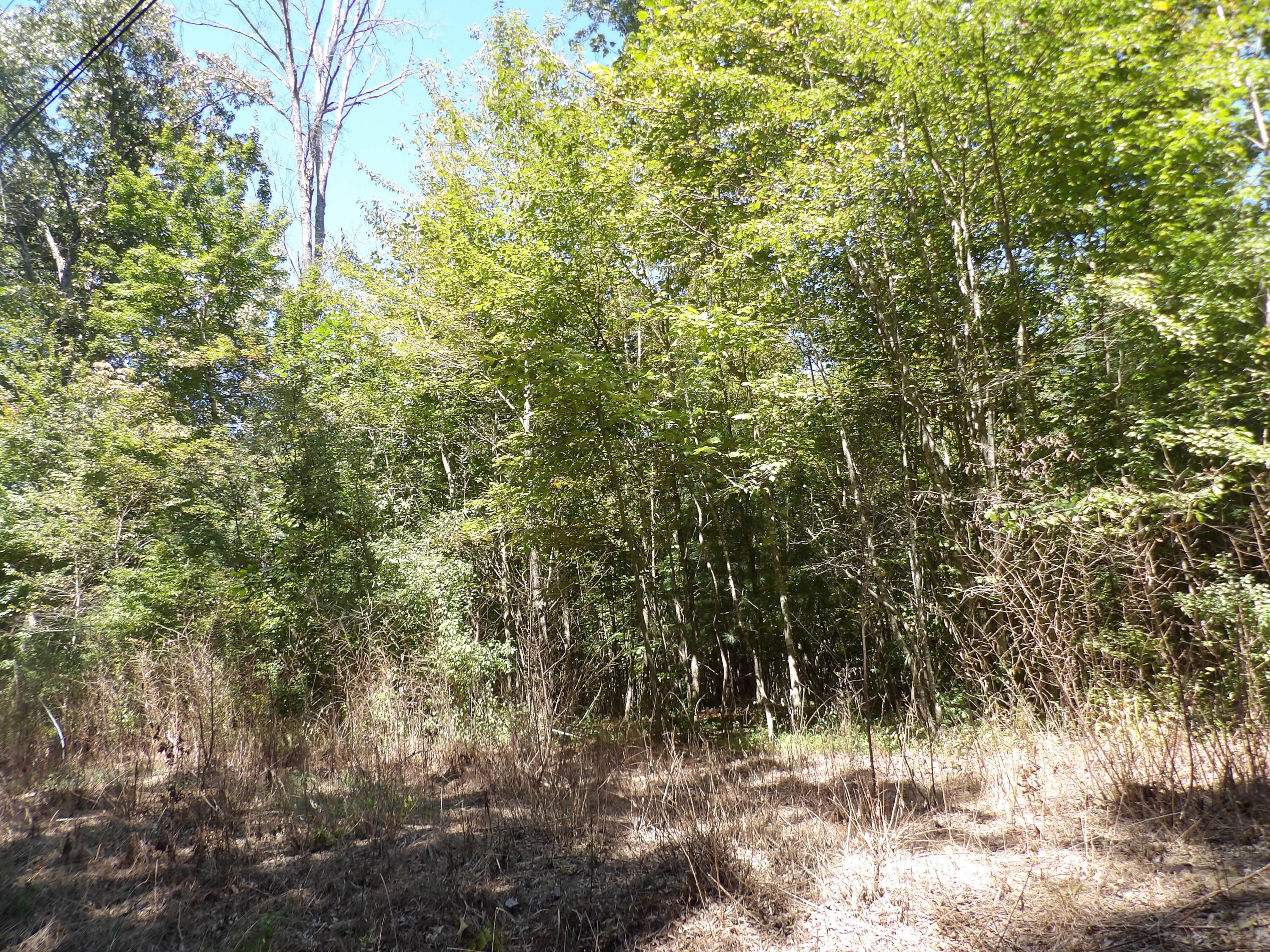 100 Summer City Road Evensville, TN 37332 - Photo 6 of 28 100_1929