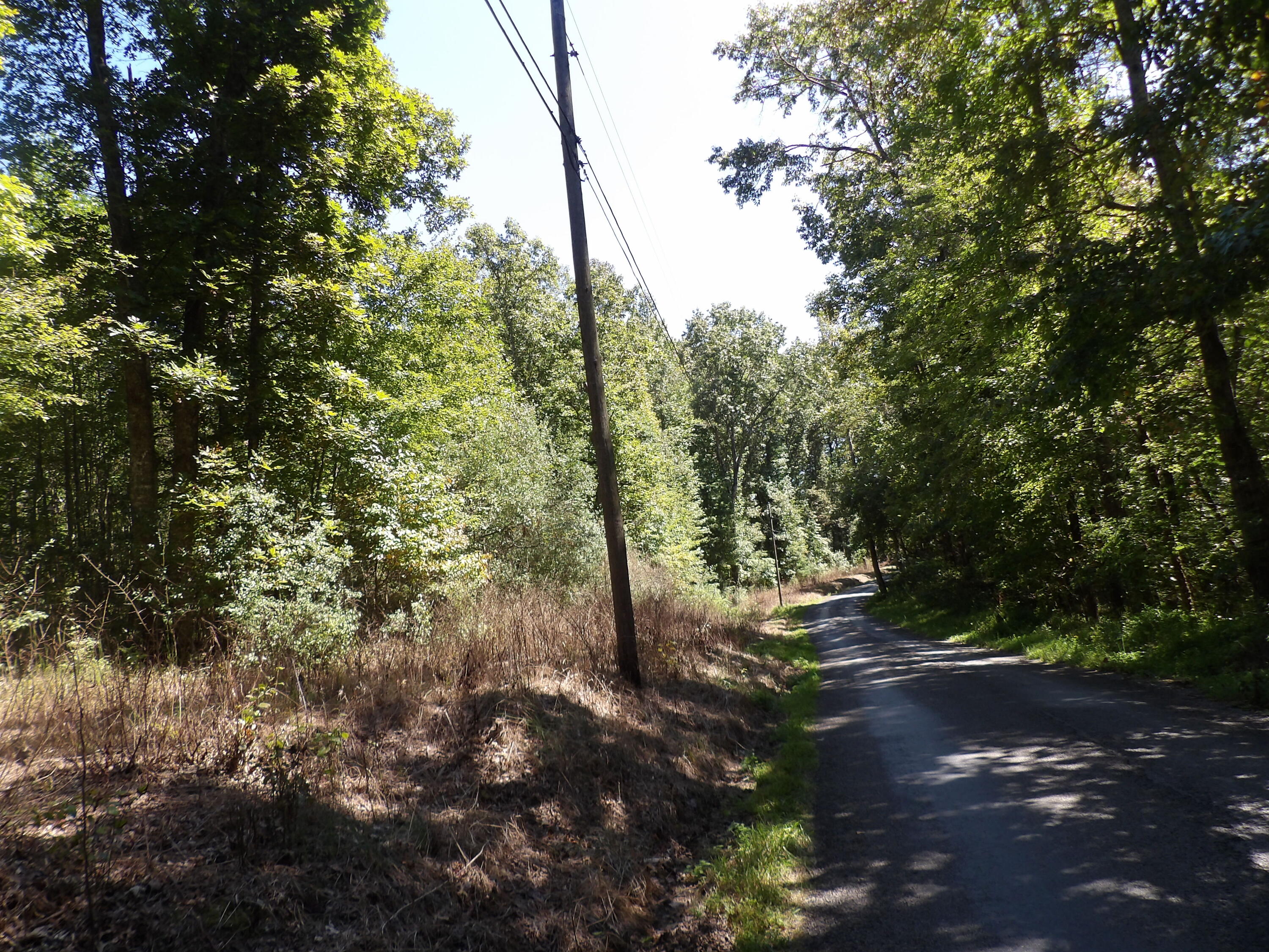 100 Summer City Road Evensville, TN 37332 - Photo 7 of 28 100_1930