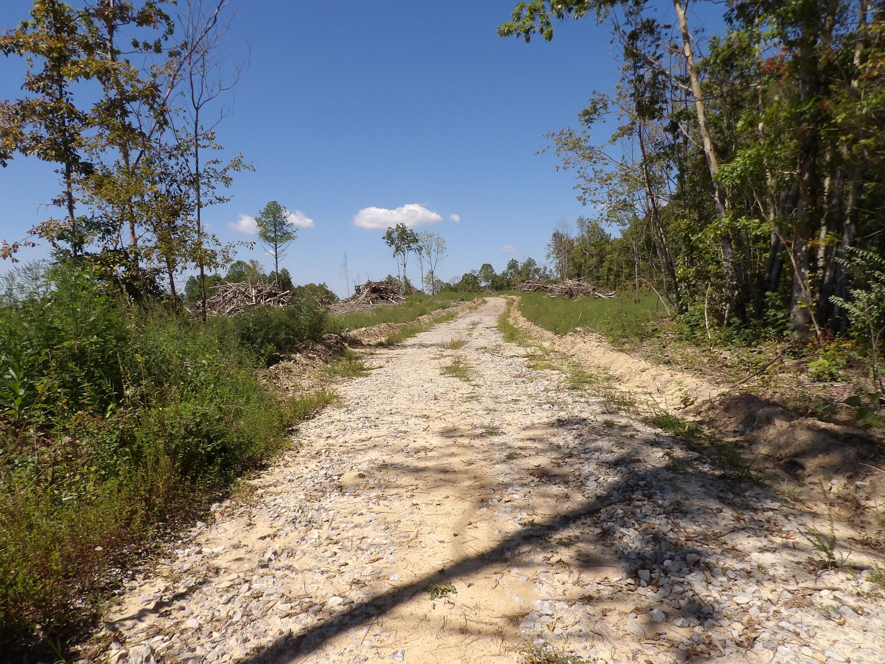 100 Summer City Road Evensville, TN 37332 - Photo 8 of 28 100_1931