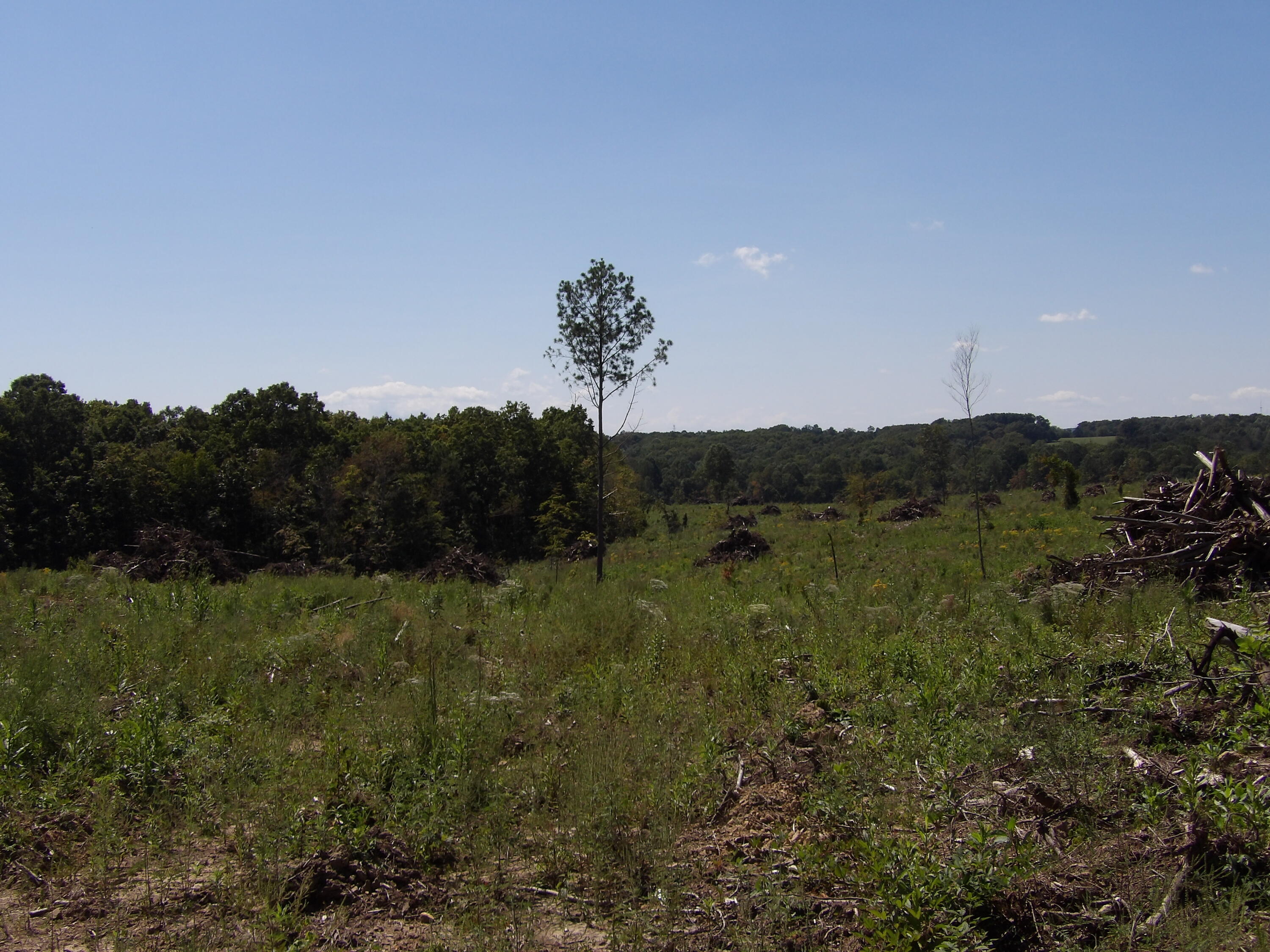 100 Summer City Road Evensville, TN 37332 - Photo 10 of 28 100_1934