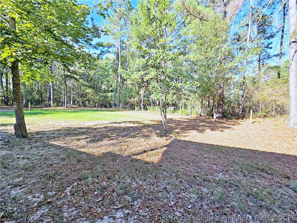 1031 Pine Acres Road White Oak, NC 28399 - Photo 28 of 29 a view of a yard with a tree