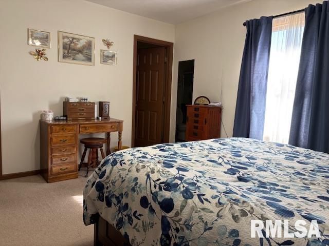 710 West Dean Street Virden, IL 62690 - Photo 12 of 62