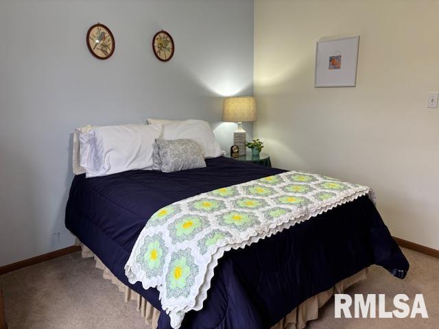 710 West Dean Street Virden, IL 62690 - Photo 22 of 62