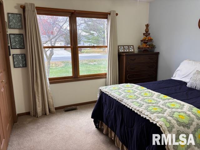 710 West Dean Street Virden, IL 62690 - Photo 23 of 62