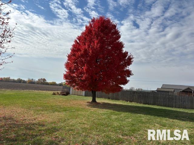 710 West Dean Street Virden, IL 62690 - Photo 45 of 62