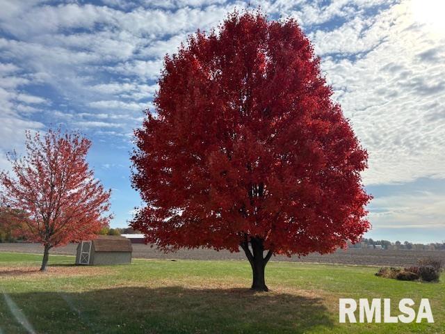 710 West Dean Street Virden, IL 62690 - Photo 46 of 62