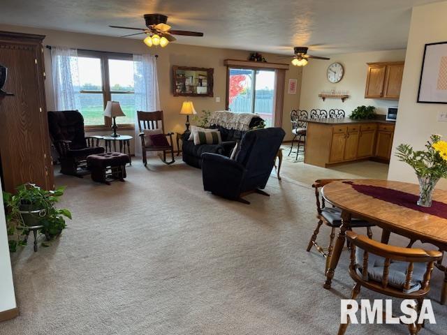 710 West Dean Street Virden, IL 62690 - Photo 5 of 62