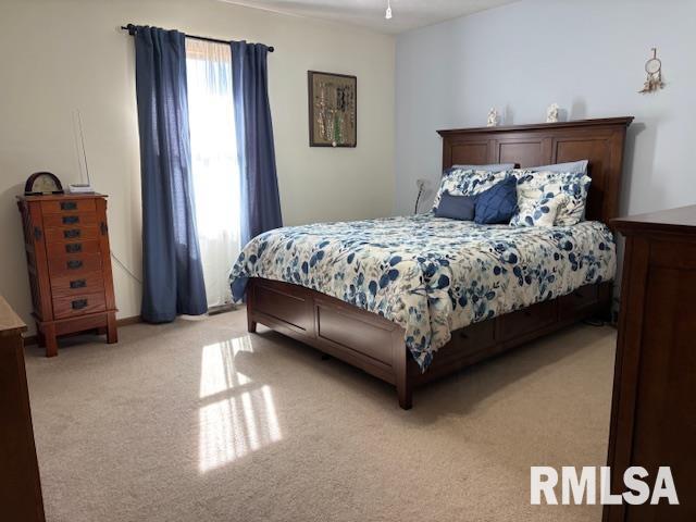 710 West Dean Street Virden, IL 62690 - Photo 10 of 62