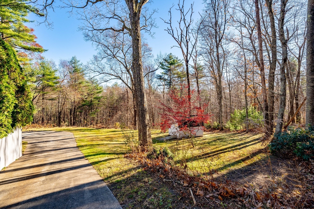 172 Bumstead Road Monson, MA 01057 - Photo 31 of 36 a view of a park with large trees