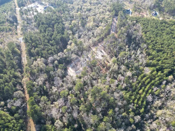 $78,515 | Lot 3 Livingston Farms Lane, Livingston, LA 70754