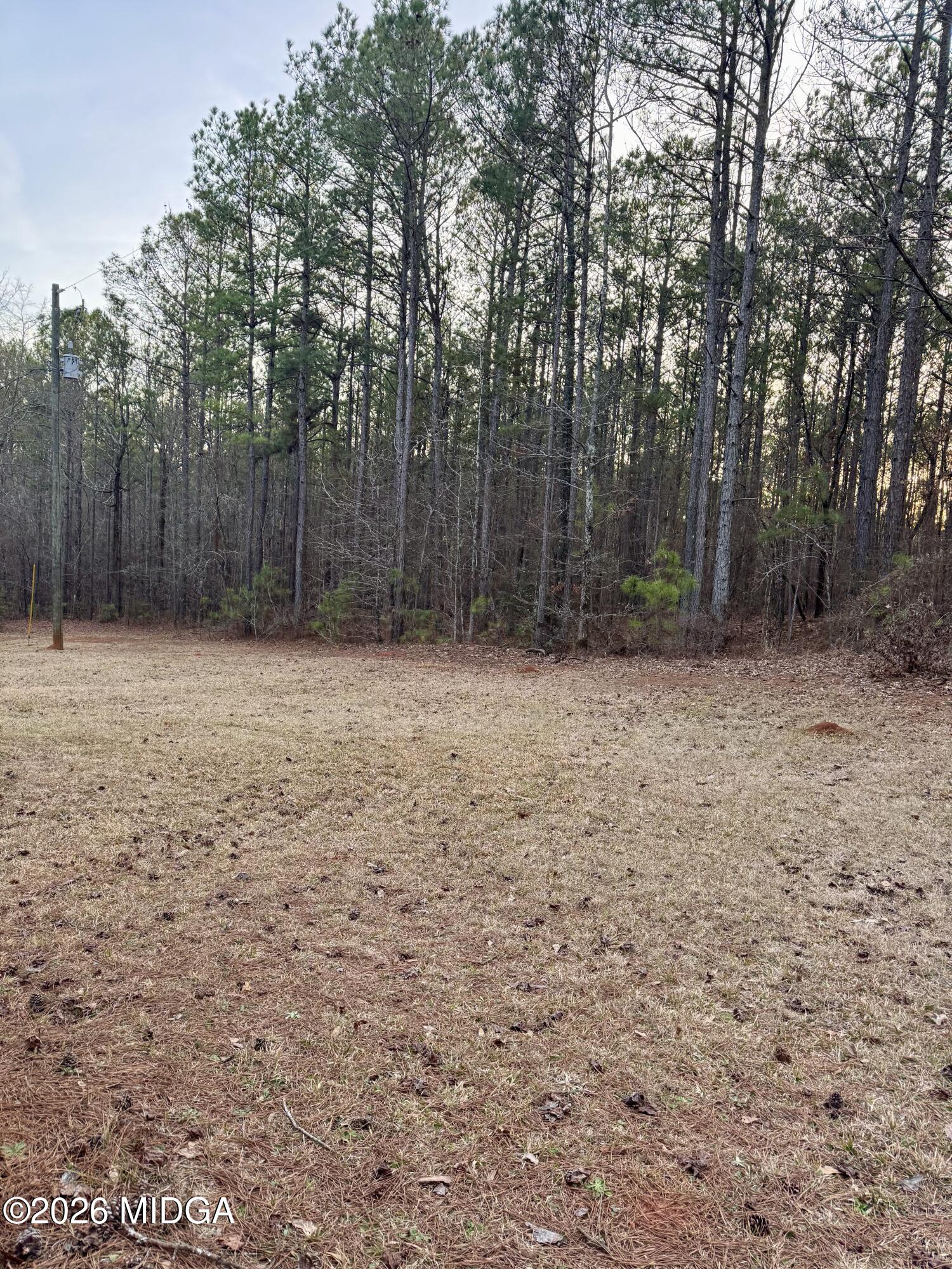 197 Cherokee Trail Forsyth, GA 31029 - Photo 2 of 9 a backyard of a house