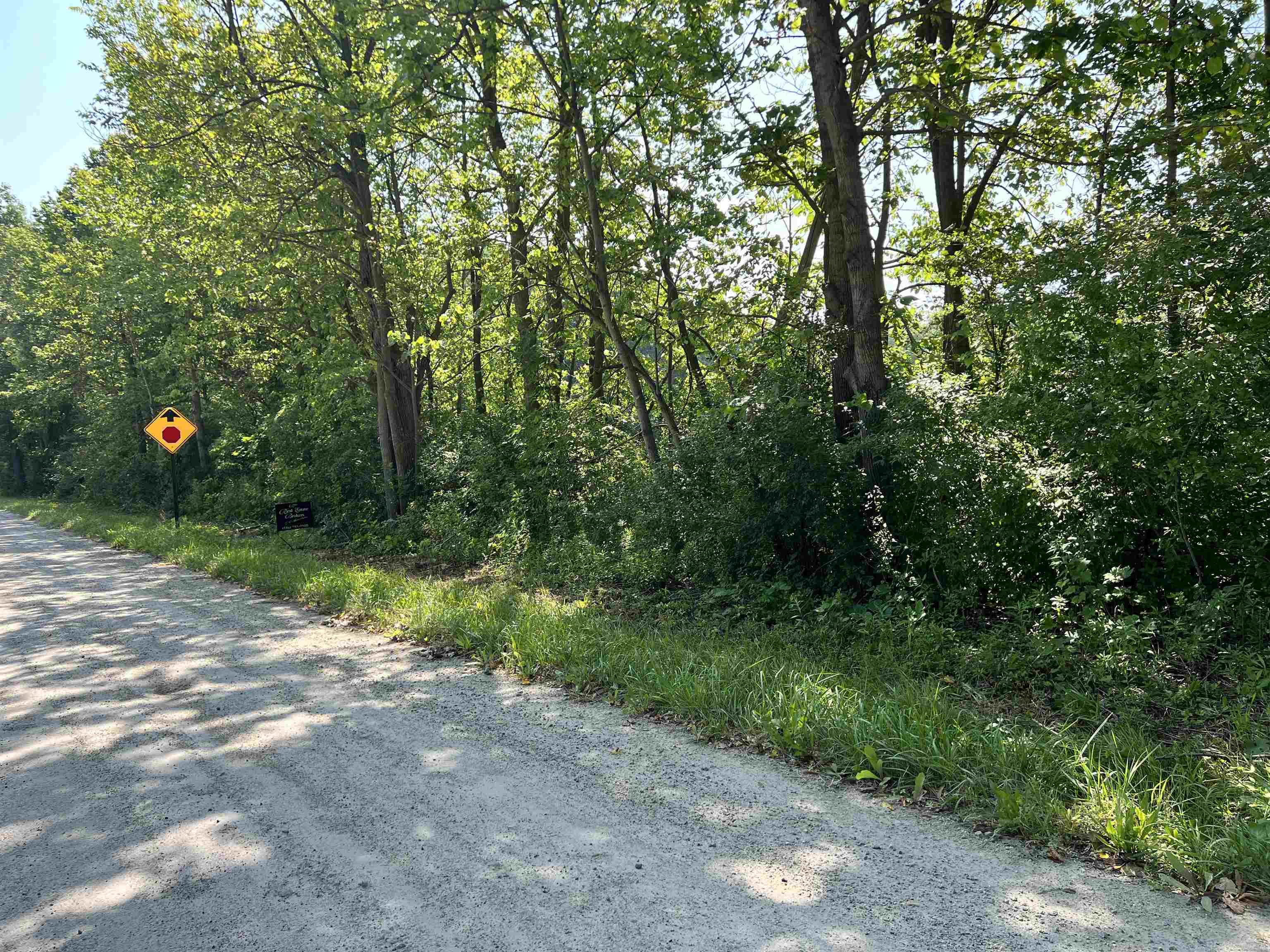 Parcel Webb Road Goodells, MI 48027 - Photo 3 of 5