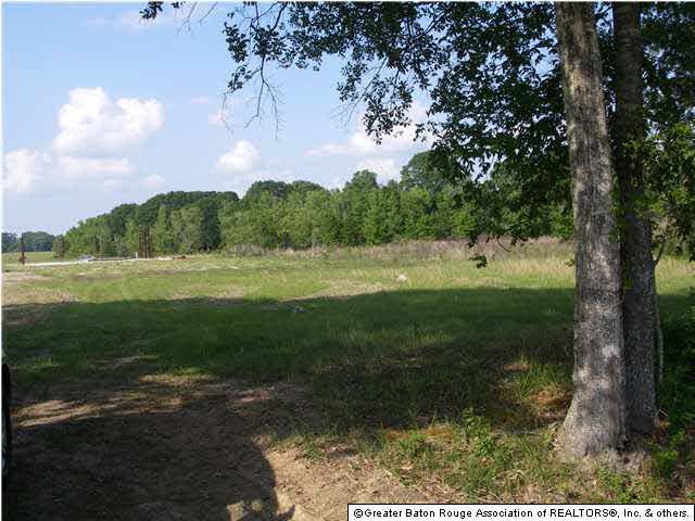 2101 Midway Road Slaughter, LA 70777 - Photo 1 of 2 Gallery Image 1